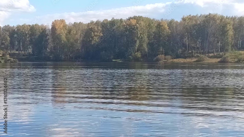 Fototapeta premium The shaky surface of a beautiful lake surrounded by a dense mixed forest under a cloudy sky on a sunny day in early autumn.