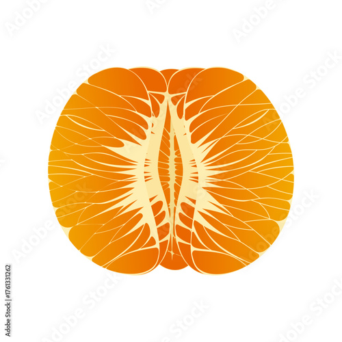 half of orange fruit illustration element