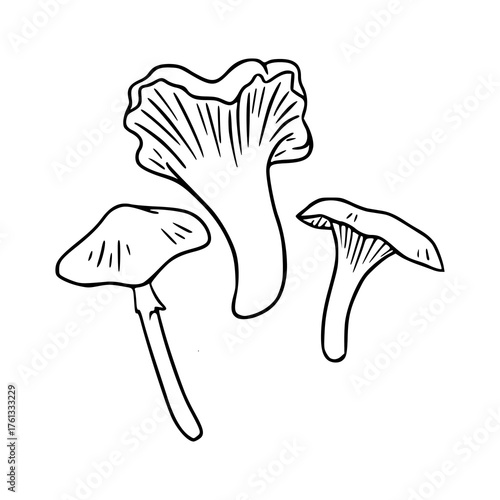 assorted mushroom food drawing