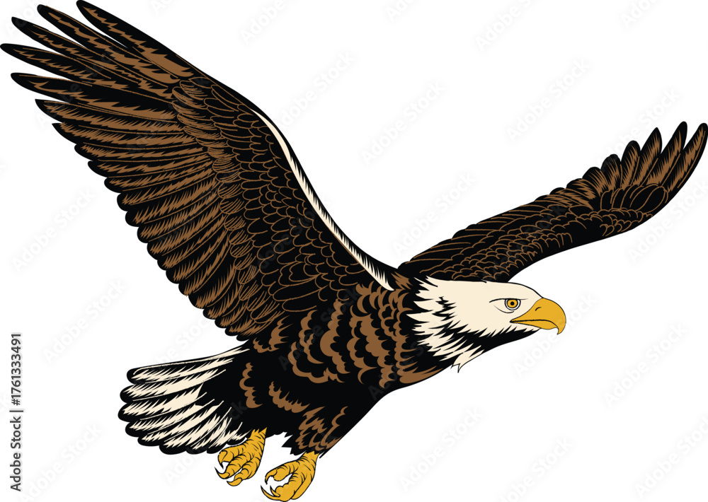 Obraz premium Bald Eagle Flying Vector Illustration Image Stock