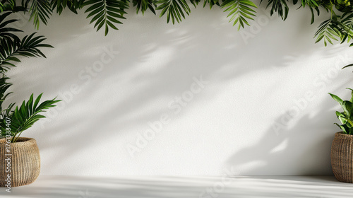Minimal empty space with shadows of leaves creates peaceful atmosphere