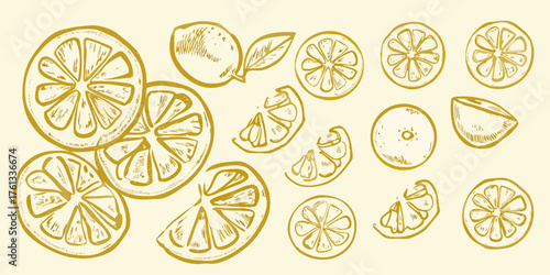 Hand drawn yellow lemon slices and whole fruit scattered on a light yellow background