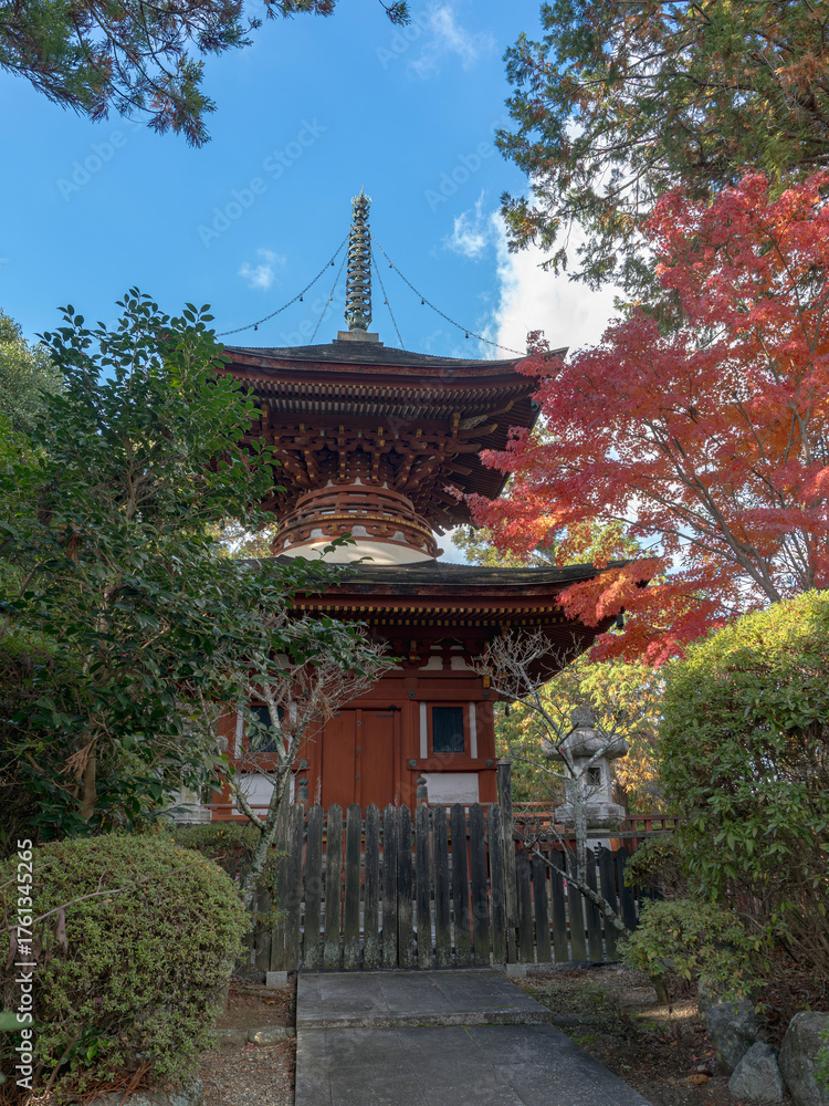 Fototapeta premium 秋彩に映える久米寺の塔
