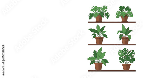 Charming potted houseplants on shelves bringing vibrant life and natural beauty to any modern home or office space