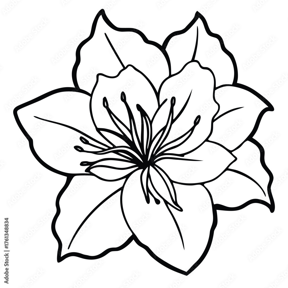 Fototapeta premium azalea-isolated-on-pure-white-background.eps