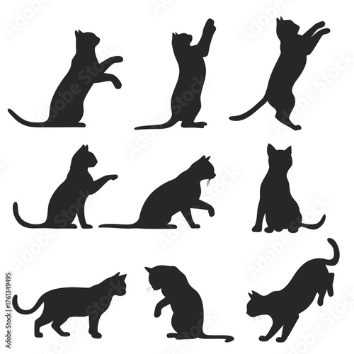 Collection of nine black cat silhouettes in various playful and resting poses against a white background showcasing feline movement and anatomy