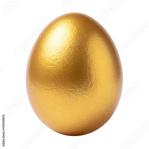 Golden Egg: A single, radiant golden egg gleams in the light, symbolizing wealth, prosperity, and the potential for new beginnings. Its smooth surface catches the eye, inviting contemplation.
