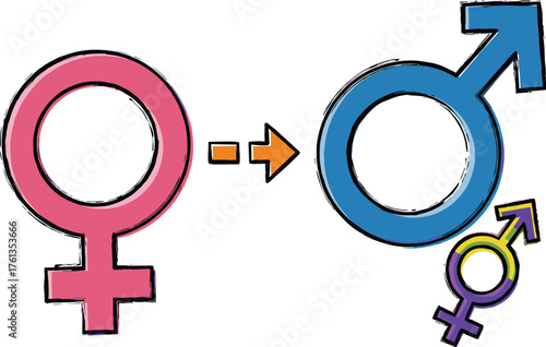 Transgender Transformation: Gender Identity Transition Illustration Depicting Female to Male Journey in Social Issues and LGBTQ+ Community Representation on White Background for Awareness Campaigns &