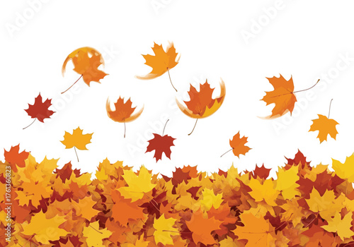 Vector illustration of falling autumn maple leaves in various shades of orange and yellow
