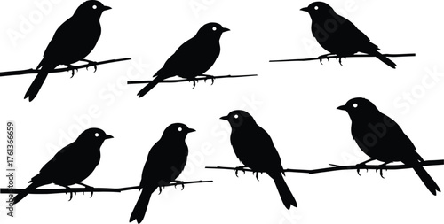 Charming silhouette of birds perched on branches, evoking nature's beauty and tranquility for branding, design, or peaceful themes in your projects