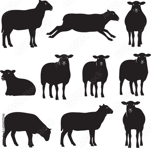 Diverse black sheep poses and actions on transparent background silhouette