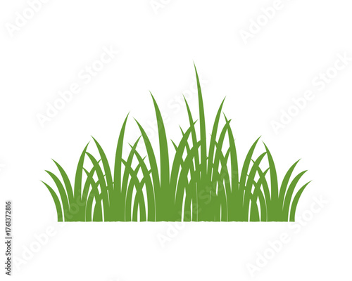 green grass isolated on white background