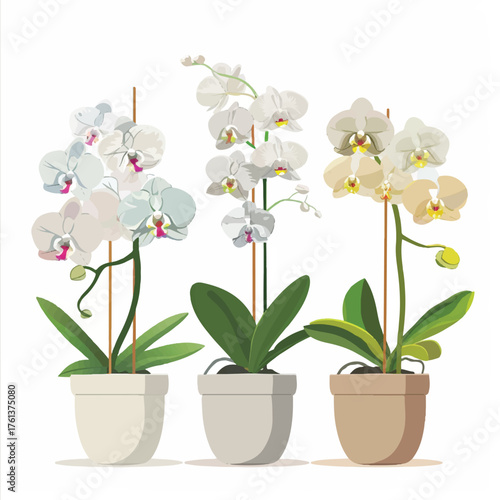  Elegant orchids in pots showcasing delicate blooms and vibrant green leaves