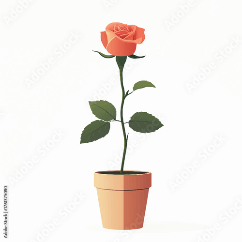 Elegant Peach Rose in Pot A Symbol of Beauty and Simplicity
