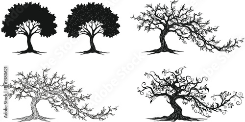 Silhouette illustration of various trees including bent and ornate branches, detailed black vector design for nature, landscape, and forest artwork