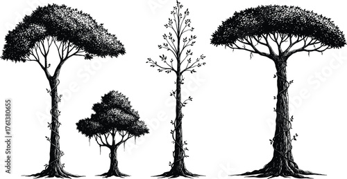 Silhouette of tall and short tropical trees, black vector illustration showing various tree shapes for forest, nature, landscape, and botanical design