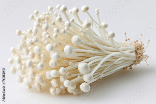 A cluster of fresh, raw enoki mushrooms lies on a bright white background. Use this image for healthy recipes and the benefits of asian cuisine.