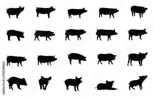 Pig silhouette set. Pig vector illustration. Pig outline. Pig silhouette. Pig isolated on white background.