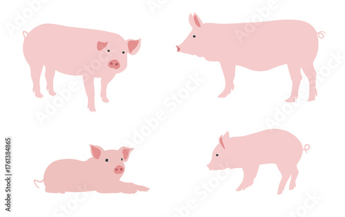Pink pig, vector illustration of a pig, isolated on white background.