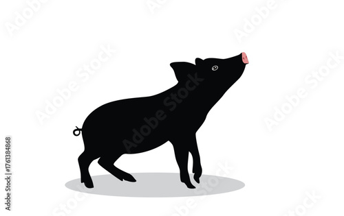 Pig Vector Illustration of Pig Isolated on White Background