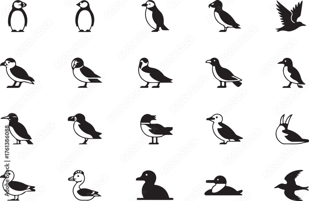 Fototapeta premium Seabird and Penguin Silhouettes Collection Keywords: penguin, puffin, auk, seabird, bird icons