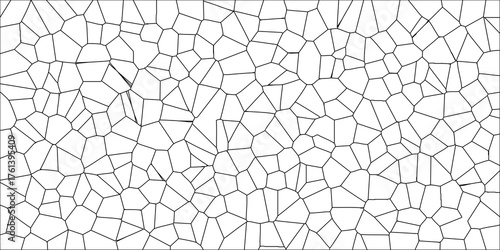 Black and white line art vector illustration of a complex Voronoi diagram pattern with irregular cell shapes on a clean white background for graphic design