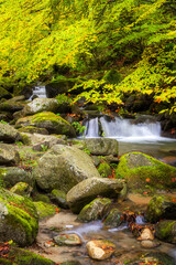 Keuken achterwand Bosrivier Bergrivier met herfstbladeren en mos  © Eduard