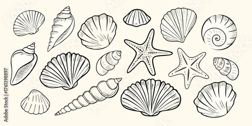Collection of hand drawn line art seashells and starfish on a light background