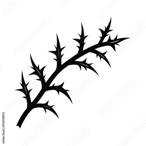 Black Thorn Branch Illustration