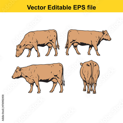 Vector art of set of four brown cows in different poses