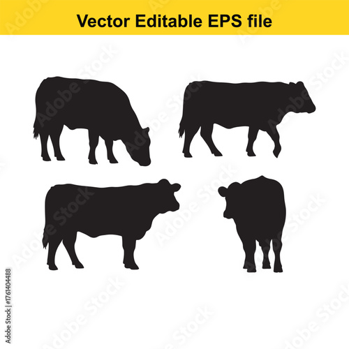 Vector art of set of four black cow silhouettes in different poses, isolated on a