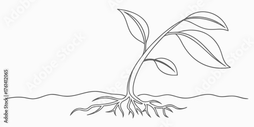 Vector a simple line drawing of a young plant with roots in the ground and three leaves reaching upward gently