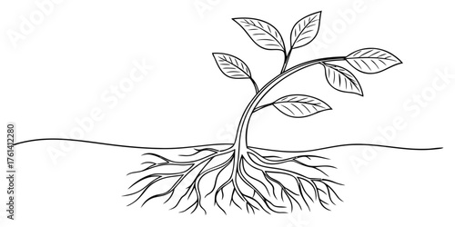 Vector a simple line drawing of a young plant with leaves and roots growing from the ground in black and white