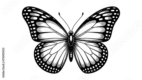 a butterfly with intricate wing details, symbolizing beauty, transformation, nature, and delicate balance.
