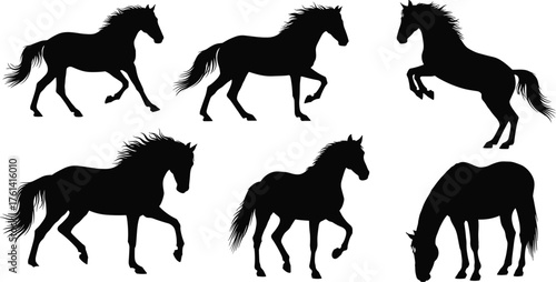 Elegant horse silhouette collection, galloping and standing horse poses in vector design, black animal figures isolated on white background, perfect for equestrian artwork