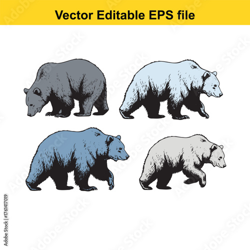 Vector art of set of four bears in different poses and colors