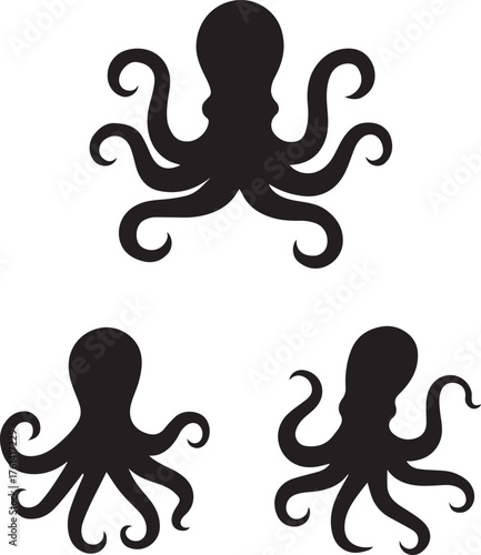 vector illustration of an octopus