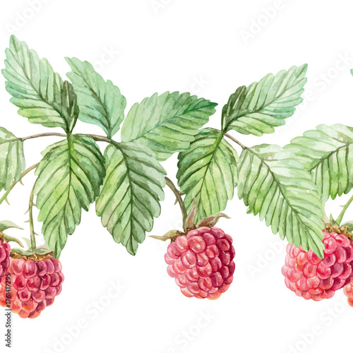 Raspberry seamless border, horizontal. Ripe berries and green leaves. Hand drawn watercolor illustration for juice, jam and marmalade labels. Suitable for wrapping paper and textiles.
