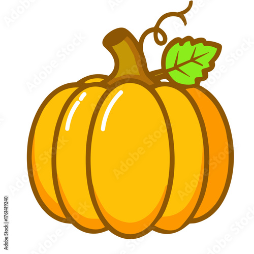 pumpkin on a white background