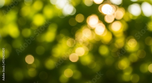 Warm golden sunlight filters through lush green leaves creating a serene, natural bokeh effect, perfect for peaceful backgrounds.