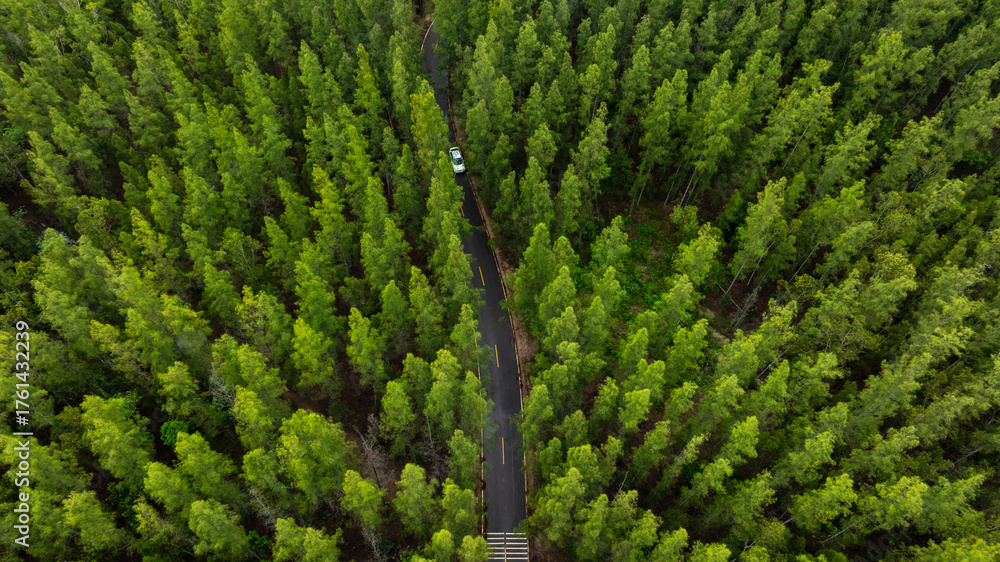 Naklejka premium Aerial view of dark green forest road and white electric car Natural landscape and elevated roads Adventure travel and transportation and environmental protection concept 