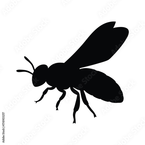 Black silhouette of a bee with detailed wings and legs on white