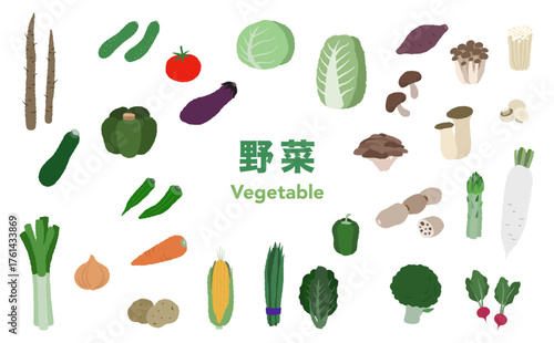 フラットイラスト：野菜セット