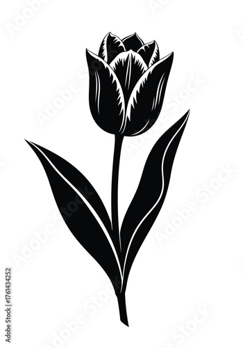 Vector illustration of black and white silhouette of a tulip flower