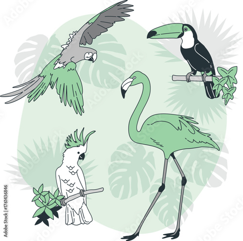 Collection of Tropical Birds with Leaves parrot toucan