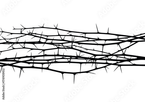 Vector illustration of thorns and branches