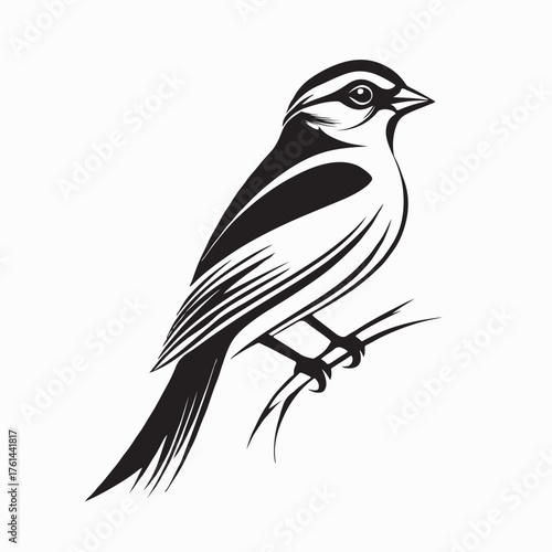 Tableau sur toile Sleek Siskin Bird Logo Design vector isolated on white background