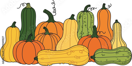Vector art of assorted pumpkins and gourds