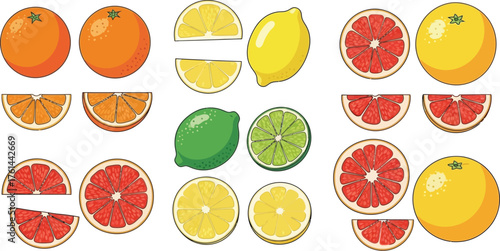Vector art of assortment of citrus fruit slices and whole fruit isolated on white