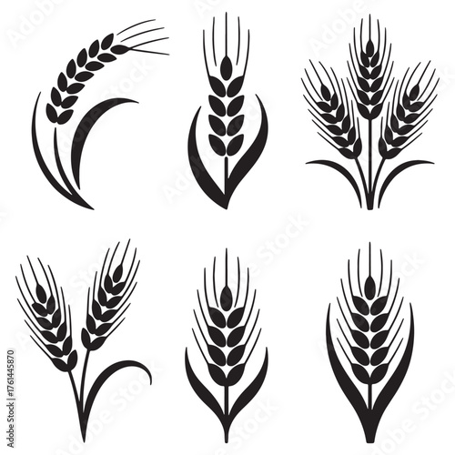Set of Wheat Ears Vector Icons - Agriculture Grain Spikelet Silhouettes